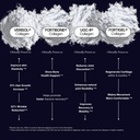the-intelligent-health-verisol-fortibone-3.jpg