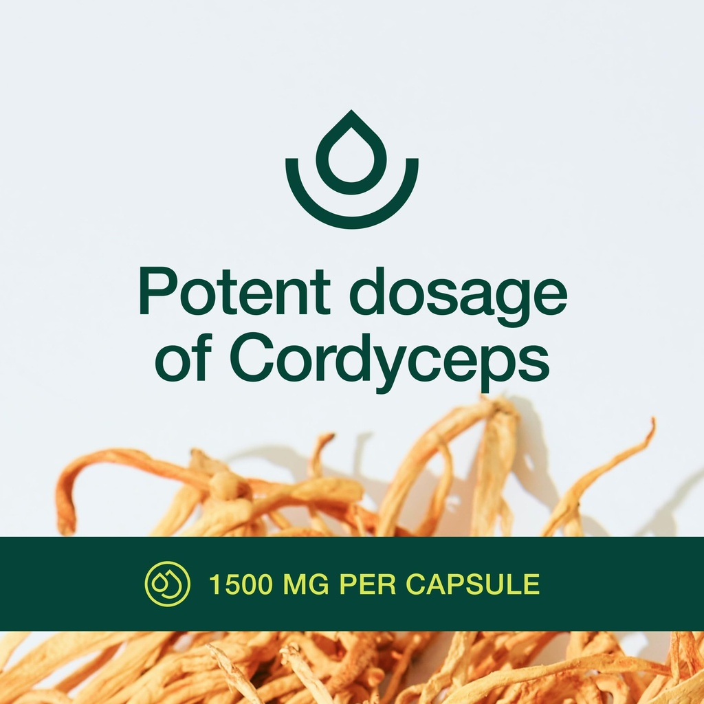 organic-cordyceps-capsules-cordyceps-sin-5.jpg