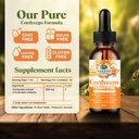 cordyceps-mushroom-extract-fruiting-body-2.jpg