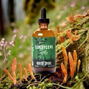 north-spore-organic-cordyceps-mushroom-t-2.jpg