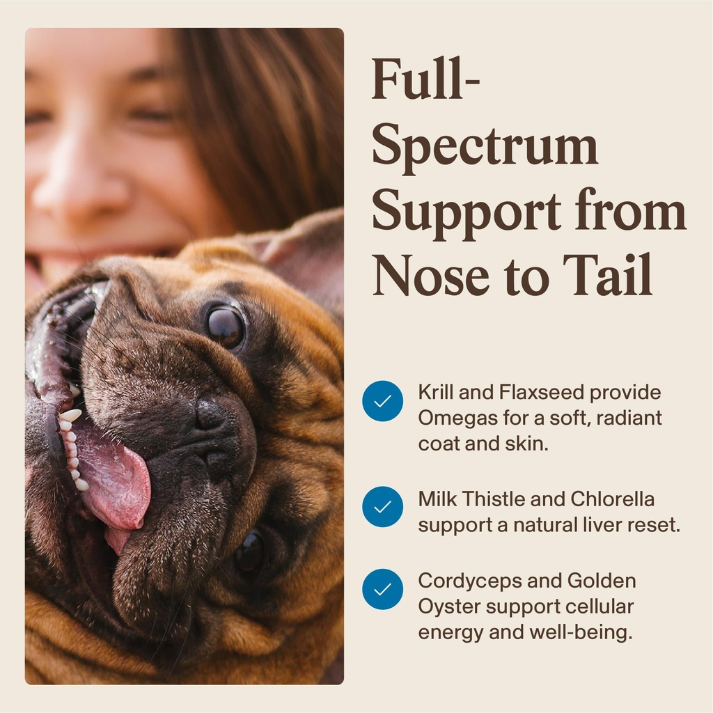 real-mushrooms-whole-dog-health-function-5.jpg