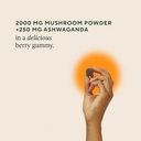 om-mushroom-superfood-master-blend-mushr-2.jpg