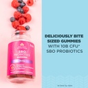 ancient-nutrition-probiotics-sbo-probiot-3.jpg
