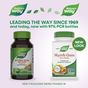 nature-s-way-myrrh-gum-tree-resin-tradit-2.jpg
