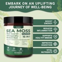 sea-moss-gummies-16-1-black-seed-oil-ash-4.jpg