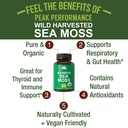 peak-performance-organic-sea-moss-capsul-2.jpg
