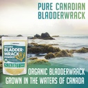 xprs-nutra-organic-bladderwrack-powder-f-2.jpg