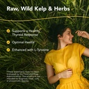 north-american-herb-spice-thyroset-90-ca-2.jpg