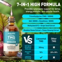 liposomal-tmg-supplements-liquid-drops-1-5.jpg