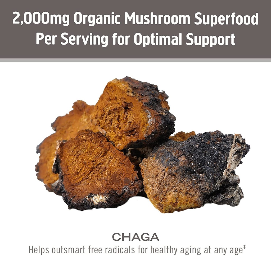 om-mushroom-superfood-chaga-organic-mush-6.jpg