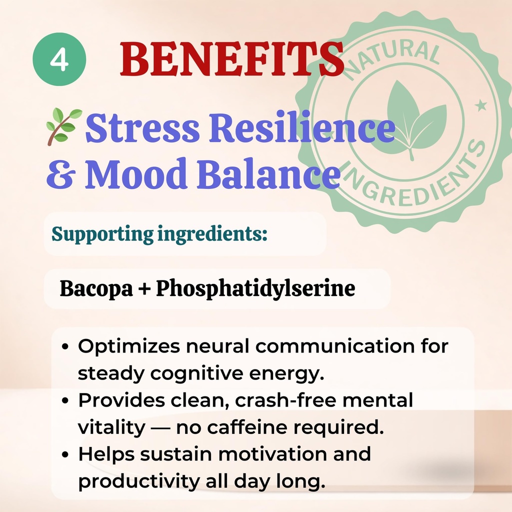 sun-vitals-core-mind-nootropic-brain-sup-6.jpg