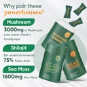 bundle-of-shilajit-sea-moss-mushroom-gum-2.jpg
