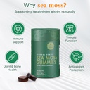 bundle-of-shilajit-sea-moss-mushroom-gum-6.jpg