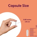 bestvite-acetyl-l-carnitine-500mg-240-ve-4.jpg