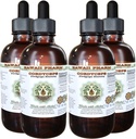 Cordyceps Alcoholvrije Liquid Extract, Cordyceps (Cordyceps Sinensis) Mushroom Glycerite Hawaii Pharm Natural Herbal Supplement 4x4 oz