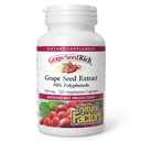 Natuurlijke Factoren, GrapeSeedRijk Grape Seed Extract, Antioxidant Ondersteuning voor gezonde ontstoken respons, 120 Capsules