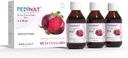 Nitric Oxide Boost Supplement (60 porties) Red Beet Root Juice Powder Extract Non-GMO Superfood