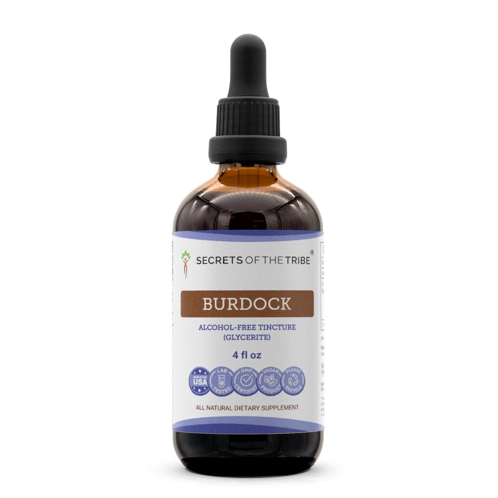 Geheimen van de stam Burdock Tinctuur Alcoholvrije Liquid Extract, Burdock (Arctium Lappa) Gedroogde Wortel 4 FL OZ