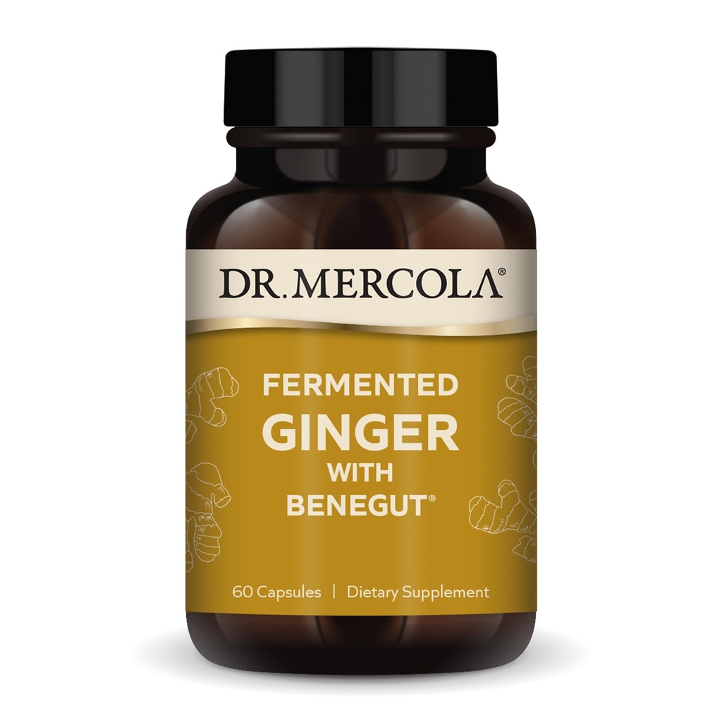 Dr. Mercola Gefermenteerde Gember met Benegut - Ondersteunt Digestieve & Gut Health - Aids Occasional Gas, Bloating & Discomfort - Non-GMO, Glutenvrije & Soy-Free - 60 Capsules (60 porties)