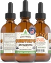 RawGuru Cordyceps Mushroom Supplement - Vegan Cordyceps Extract met sporenmineralen - Nano-Processed Immunity Boost & Cognitive Supplement Tinctuur - 60 porties Vegan Drops per 60 ml, Pack of 1