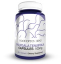 Nootropics Depot Polygala tenuifolia Capsules | 100mg | 180 Count | 20:1 Extract | Yuan Zhi | Promotes Cognitive Function, Learning and Memory | Supports Healthy Stress Levels | Adaptogen Supplement