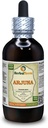 Arjuna (Terminalia Arjuna) Tinctuur, Biologische Gedroogde Bark Liquid Extract (Grote naam: HerbalTerra, Trots gemaakt in USA) 4 fl.oz (120 ml)