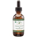 Native Remedies Immune Defense 14 Mushroom Blend to Protect and Mainten Immune System Function, 2 Fl oz.