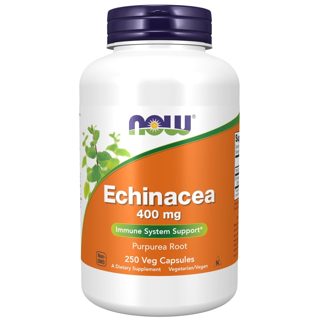 NOW Supplementen, Echinacea (Purpurea Root) 400 mg, Immuunsysteemondersteuning*, 250 Veg Capsules