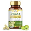 Biologische Veda Amla Fruit Capsules, 20 X Geconcentreerde Amla Berry Juice Extract Natuurlijke Vitamine C Supplement - Krachtige Antioxidanten, Immuniteit, Huidstraling - Vegan Vitamin C Amla Powder Capsule 120