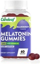 Melatonin Gummies Sleep Support for Men and Women Health Sleep with 6mg Melatonin&Vitamin B6 Blueberry Flavor 60 Count