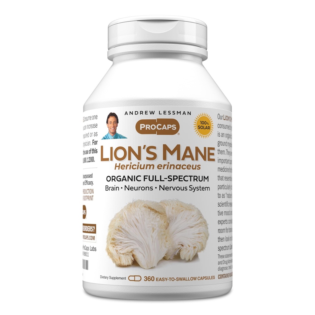 ANDREW LESSMAN Lion