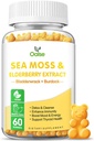 Sea Moss Gummies for Adults and Kids, 2000mg Raw Seamoss, Bladderwrack, Burdock Root, Elderberry, Pepper, Vitamine C & D3, Zink ondersteunt Immune System & Boost Energy (1-pack)