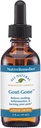 Native Remedies Gout-Gone - Natuurlijke Homeopathische Formule voor de gezamenlijke Zwelling, Roodheid en Ongemak van Jicht - 59 ml