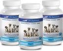 Honden urine Incontinentie Supplementen - Hond Urine Tract Ondersteuning - Natuurlijke Cranberry Solution - Bladder Health - Vet Aanbevolen - Cranberry Juice voor honden - 3 Fles (270 Treats)