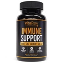 Immuunondersteuningsvitaminen - Vlierbes met zink, vitamine C en Knoflook voor volwassenen - Sambucus Black Elderberry Capsules & Echinacea Immunity Revitation Complex