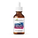 Kruidengoed Bitter Maar geen Crap Liquid Supplement voor lichaamsreiniging, energie-ondersteuning en gezondheid Boost 