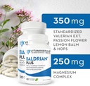 Vitaminerals 33+ Baldrian® Plus Natuurlijke Ontspannende Ondersteuning Gestandaardiseerde Valeriaan Extract (60)