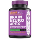 Nootrope Hersensupplement voor focus, energie, geheugen en helderheid Booster 