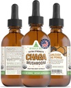 RawGuru Chaga paddosupplement - Vegan Chaga paddoextract met sporenmineralen - Nano-Processed Immunity Boost & Cognitive Supplement Tinctuur - 60 porties Vegan Drops per 60 ml, Verpakking van 1
