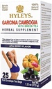 HYLEYS Thee Garcinia Cambogia Groene Thee met Acai Berry smaak - 25 Theezakjes (12 Pack - 300 Theezakjes Totaal)
