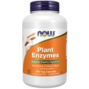 NOW Foods Supplementen, Plant Enzymen met Lactase, Protease, Papain en Bromelain, 240 Veg Capsules