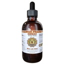 Ginkgo Liquid Extract, Biologische Ginkgo (Ginkgo Biloba) Tinctuur Supplement 4 oz