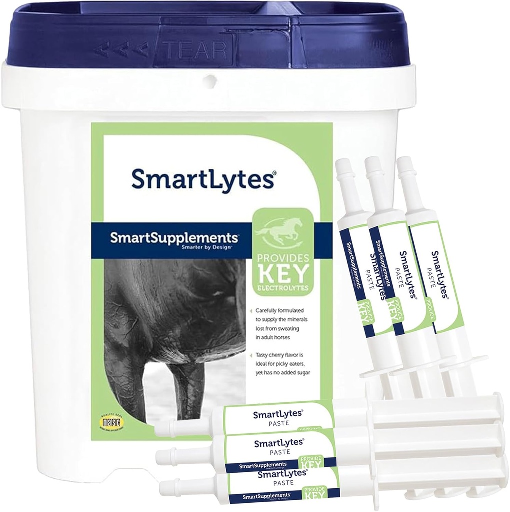 SmartEquine SmartLytes Horse Electrolyte Powder Supplement & SmartLytes Plakken Horse Electrolyte Plakken 6 Tubes Bundle, stimuleert hydratatie, Replenishes Elektrolyten, Geen toegevoegde suiker