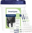 SmartEquine SmartLytes Horse Electrolyte Powder Supplement & SmartLytes Plakken Horse Electrolyte Plakken 6 Tubes Bundle, stimuleert hydratatie, Replenishes Elektrolyten, Geen toegevoegde suiker