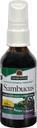 Nature's Antwoord Sambucus Siroop Extract Spray 2 Fluid Ounces 