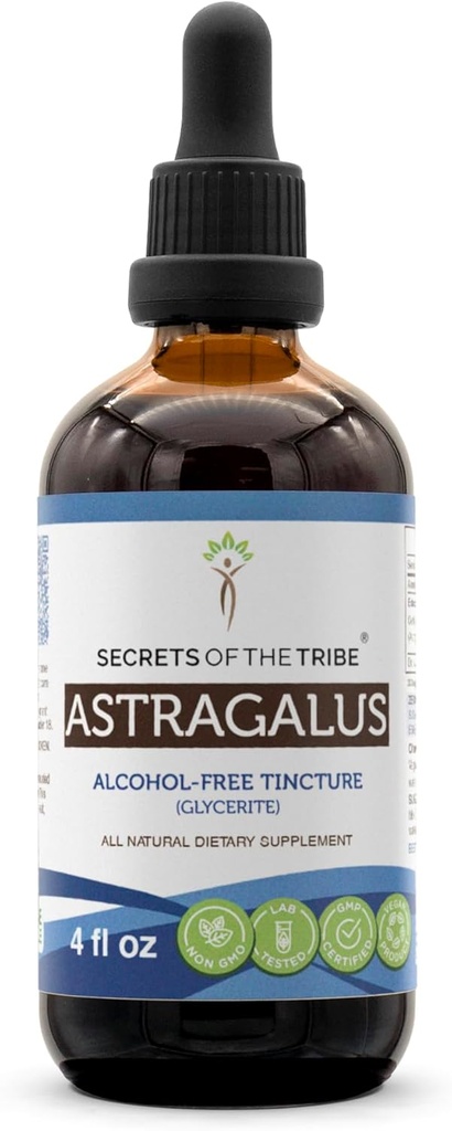 Geheimen van de stam Astragalus Tinctuur Alcoholvrij Liquid Extract, Astragalus (Astragalus membranaceus) Gedroogde Wortel (4 FL OZ)