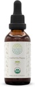 HerbEra California Poppy B60 USDA Organische Tinctuur 