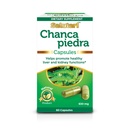 SALUTARI Chanca Piedra Stone Breaker, 60 Vegetarische Capsules - Natural Stonebreaker Supplement voor Niergezondheid, Leverreiniging en Gallblad Ondersteuning - Natuurlijke Detox Supplement