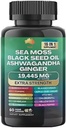 Muse Sea Moss, Black Seed Oil, Ashwagandha, Ginger, Shilajit, Elderberry, Chlorofyl, Turmeric, Bladderwrack, Advanced Strength Gummies, 19.445mg, All-in-1 Bundle, 60 Graaf, Made in USA