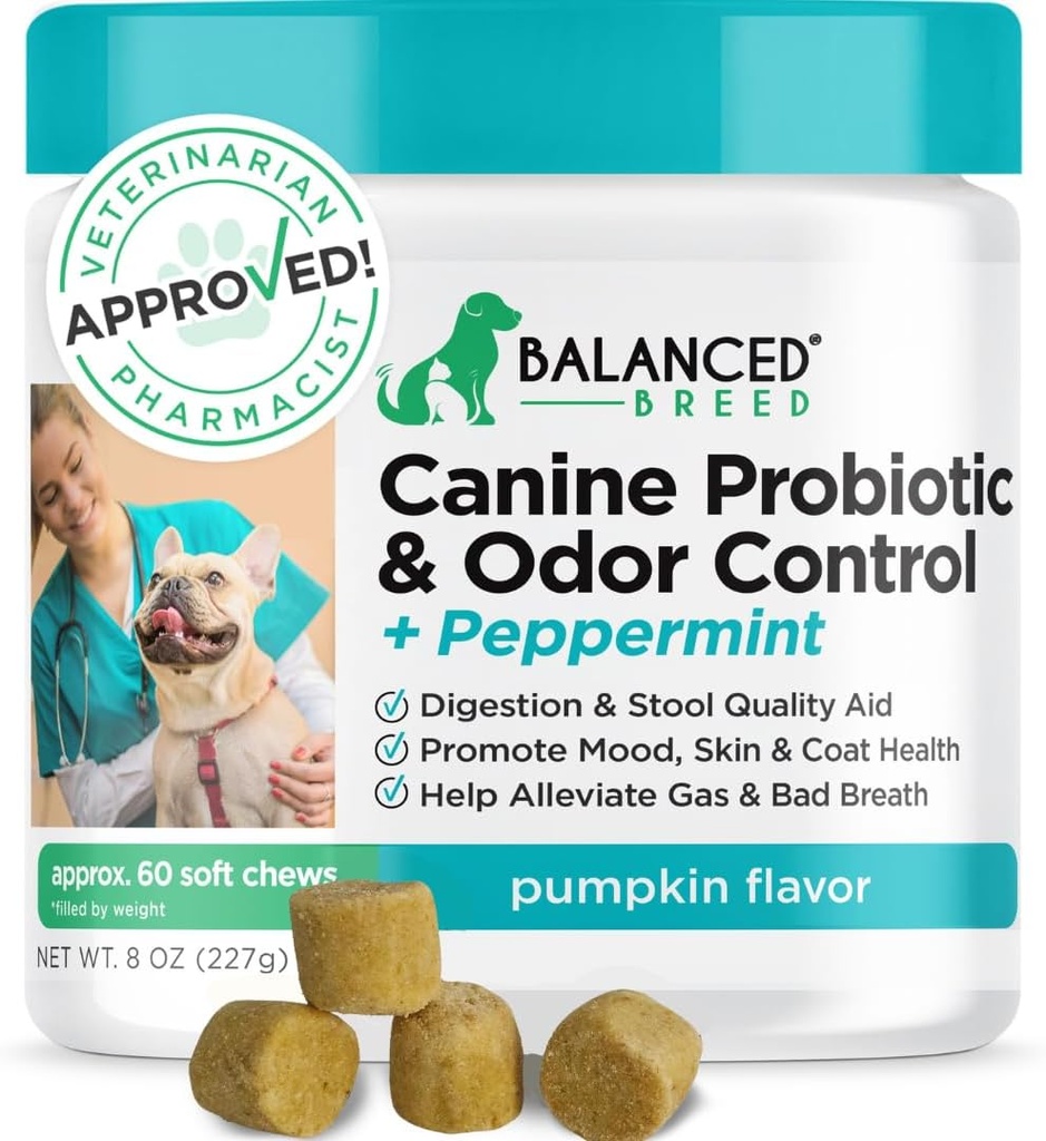 Balanced Breed Honden Probiotica Digestieve Gezondheid Enzymen Made in USA Vet-Farmacist goedgekeurd Fortiflora Probiotica Honden Anti Gist Supplementen Constipatie Relief Honden Griezelig Huid jeukende Oors Non-GMO